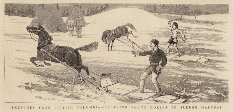 Skitser fra British Columbia, der knækker unge heste til slædesele af Alfred Chantrey Corbould