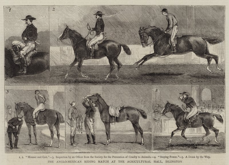 Den anglo-mexicanske ridekamp i Agricultural Hall, Islington af Alfred Chantrey Corbould