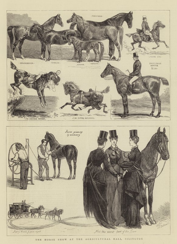 Hesteshowet i Agricultural Hall, Islington af Alfred Chantrey Corbould