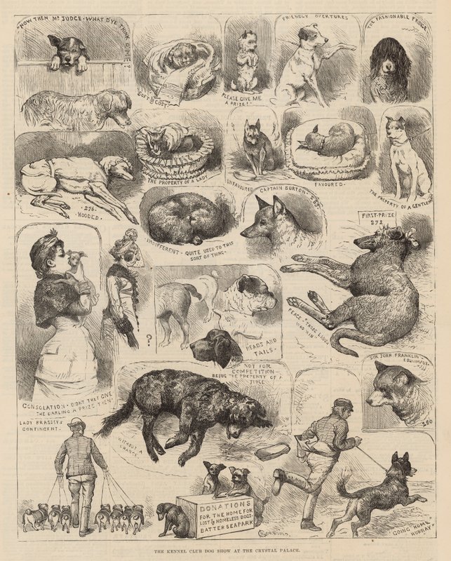 Kennelklubbens hundeudstilling i Crystal Palace af Alfred Chantrey Corbould