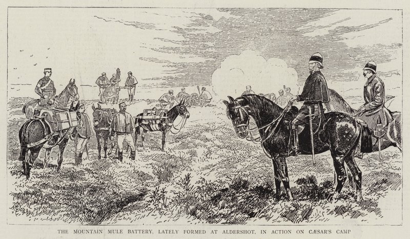 Bjergmulebatteriet, der for nylig blev dannet ved Aldershot, i aktion på Cæsars lejr af Alfred Chantrey Corbould