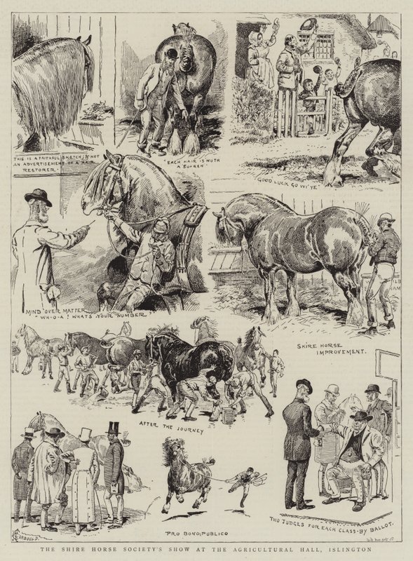 Shire Horse Society