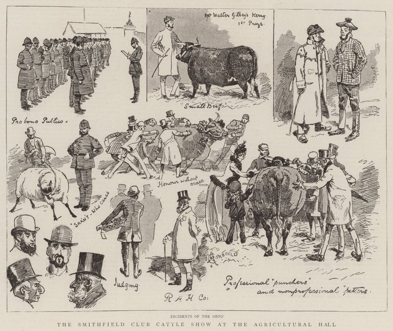 Smithfield Club Cattle Show i Agricultural Hall af Alfred Chantrey Corbould
