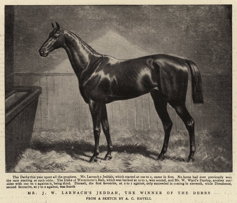 Mr J W Larnachs Jeddah, vinderen af Derbyet af Alfred Charles Havell