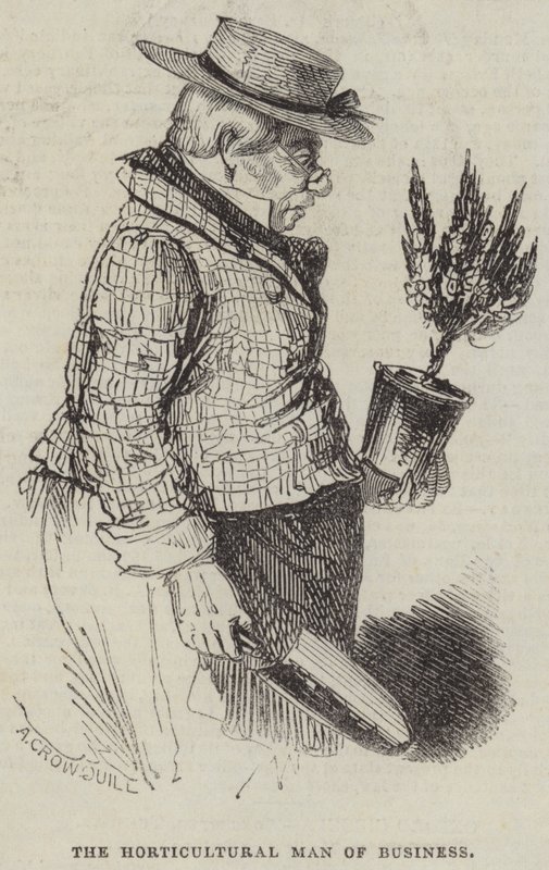 Forretningens havebrugsmand af Alfred Crowquill