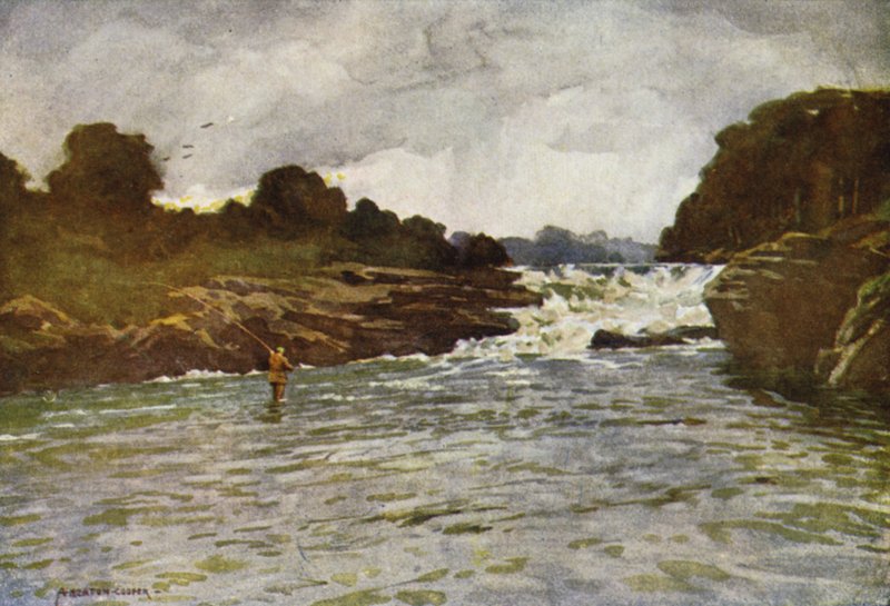 Kathleens Falls, Ballyshannon af Alfred Heaton Cooper