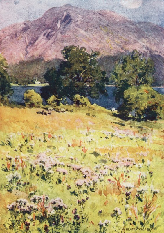 Lake District: Bassenthwaite Lake og Skiddaw (farvelitografi) af Alfred Heaton Cooper