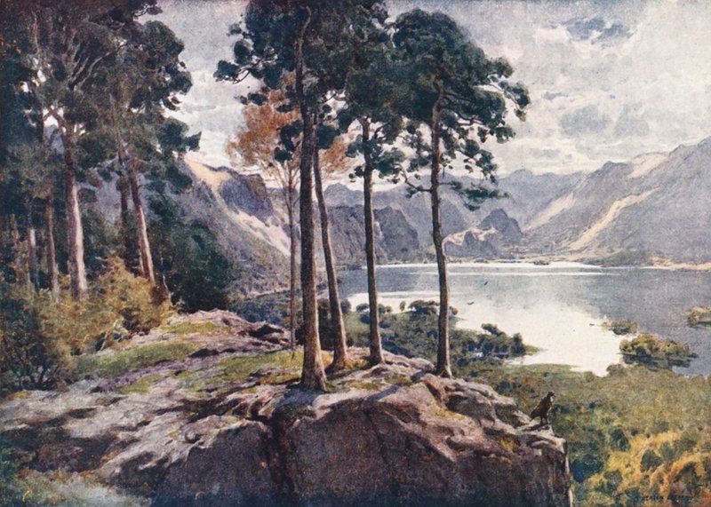 Lake District: Derwentwater, fra Castle Head, en lys morgen (farvelitografi) af Alfred Heaton Cooper