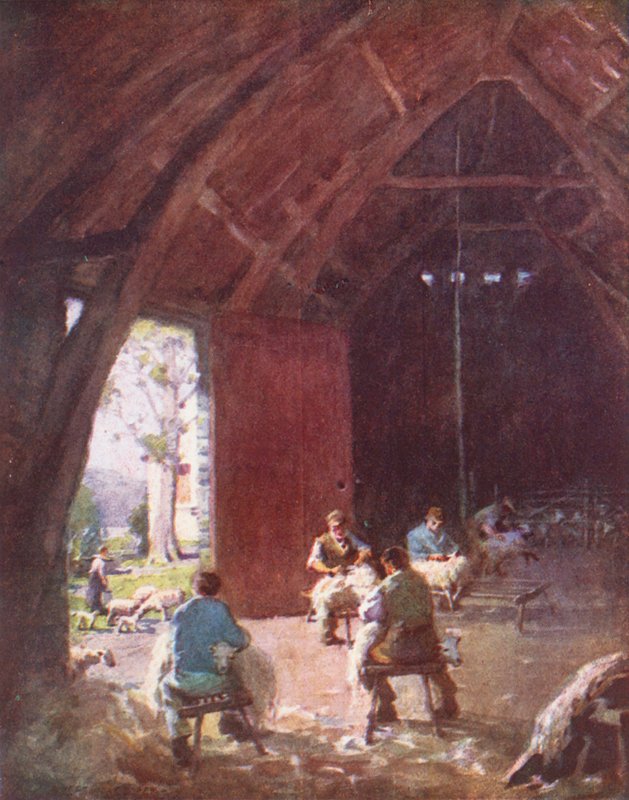 Lake District: Klipning af får, Esthwaite Hall Farm (farvelitografi) af Alfred Heaton Cooper
