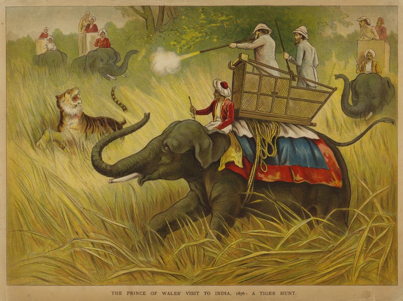 Edward, Prince of Wales, skyder tigre på et besøg i Indien af Alfred Johnson