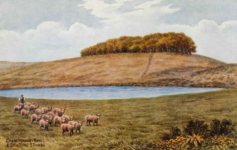 Chanctonbury Ring og Dew Pond, S Downs af Alfred Robert Quinton