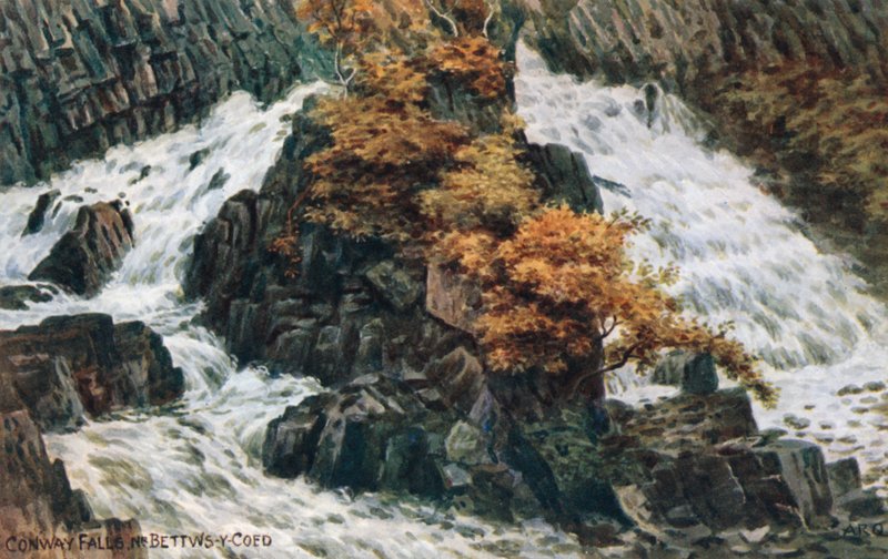 Conway Falls, nr. Bettws-y-Coed af Alfred Robert Quinton