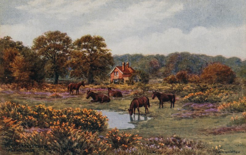 New Forest Ponyer, Lyndhurst af Alfred Robert Quinton