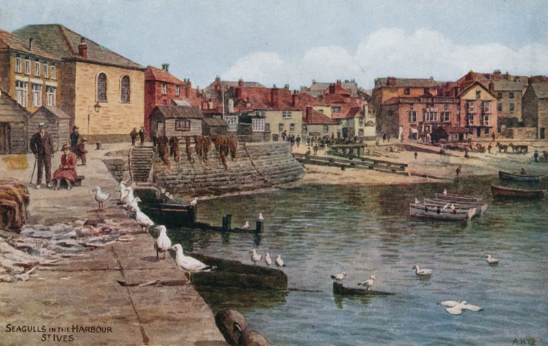 Måger i havnen, St Ives, Cornwall af Alfred Robert Quinton