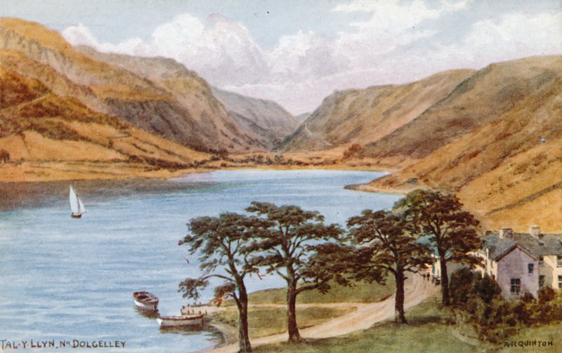 Tal-y-Llyn, Nr. Dolgelley af Alfred Robert Quinton