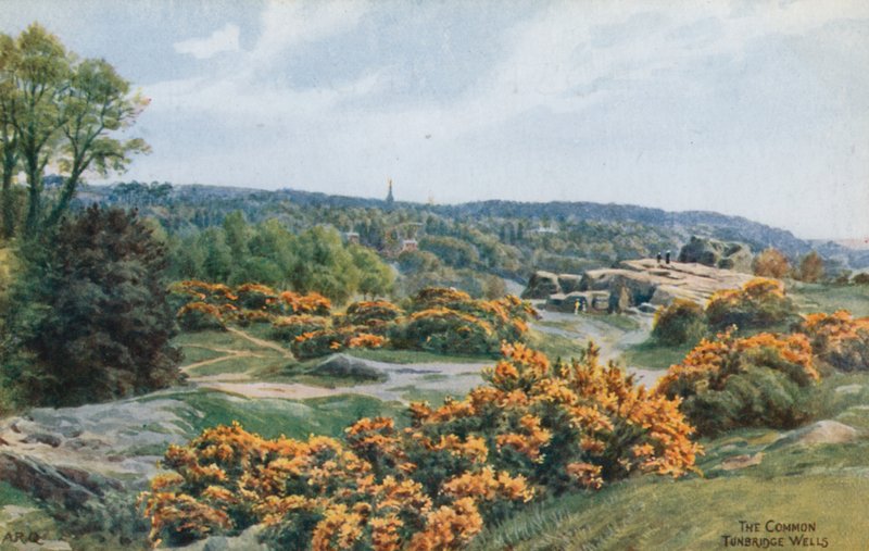 The Common, Tunbridge Wells af Alfred Robert Quinton
