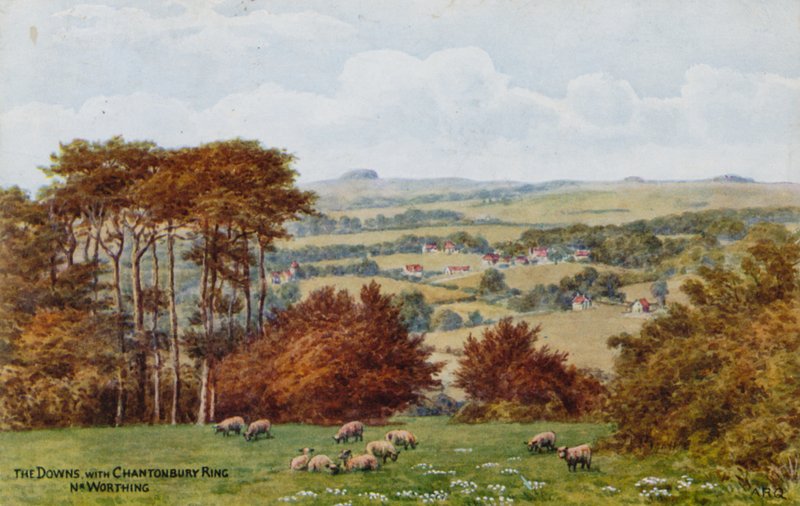 The Downs med Chantonbury Ring, Nr. Worthing af Alfred Robert Quinton