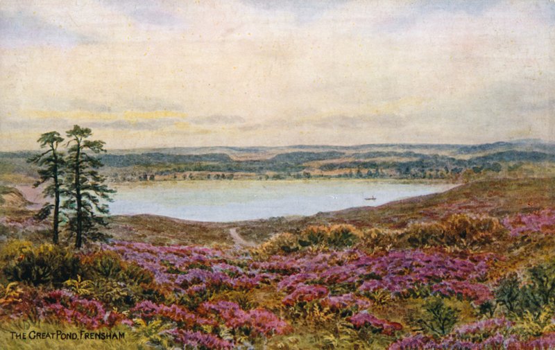 Den store dam, Frensham af Alfred Robert Quinton