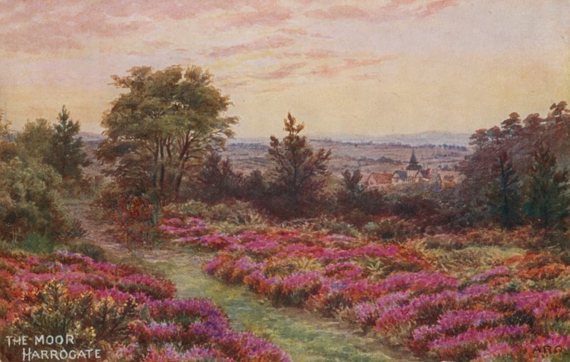 The Moor, Harrogate af Alfred Robert Quinton