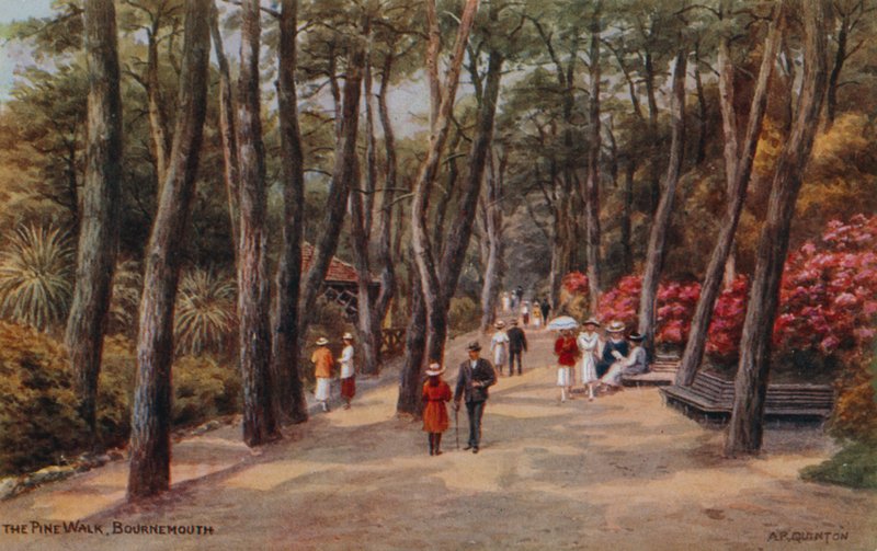 The Pine Walk, Bournemouth af Alfred Robert Quinton