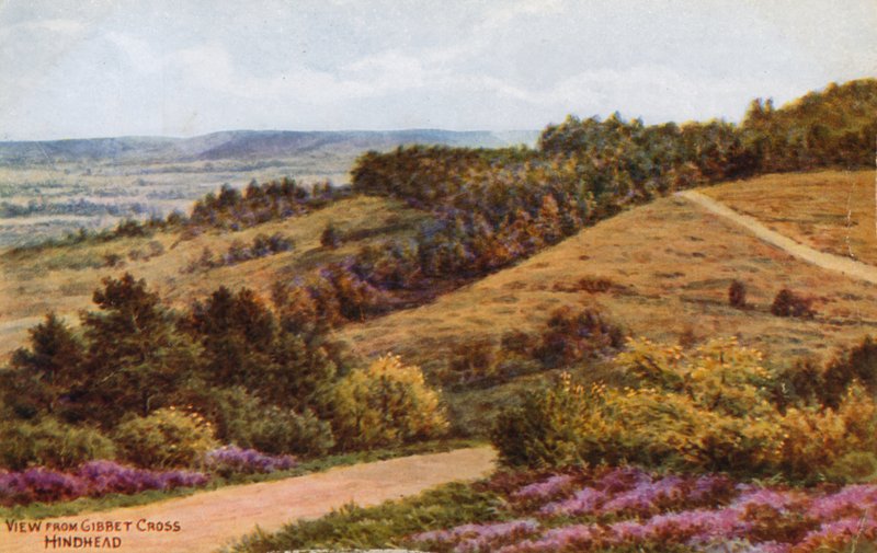 Udsigt fra Gibbet Cross, Hindhead af Alfred Robert Quinton