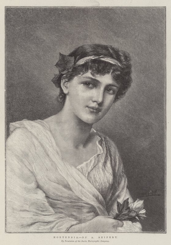 Hortensia af Alfred Seifert