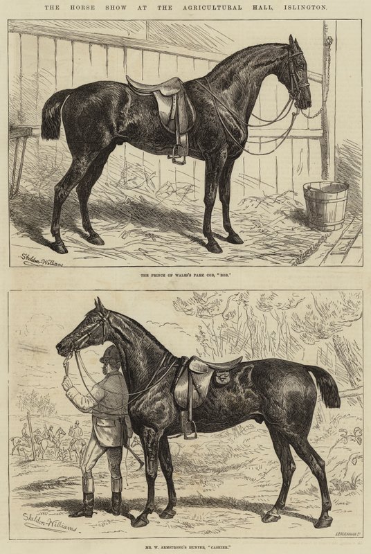Horse Show i Agricultural Hall, Islington af Alfred Sheldon Williams