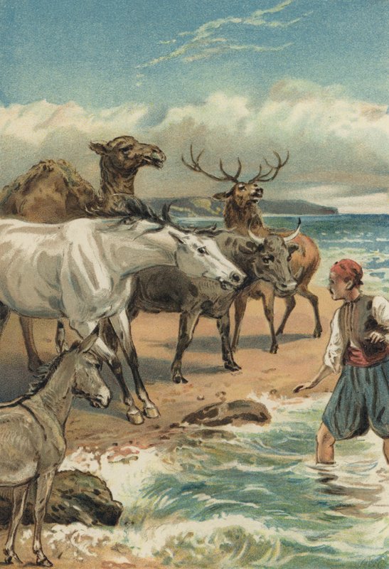 Arabian Nights: Historien om Beder og Giauhare af Alfred W. Cooper