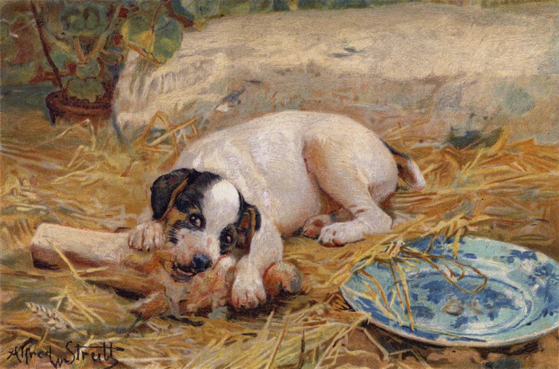 Jo tættere på benet, jo sødere kød (chromolitho) af Alfred William Strutt