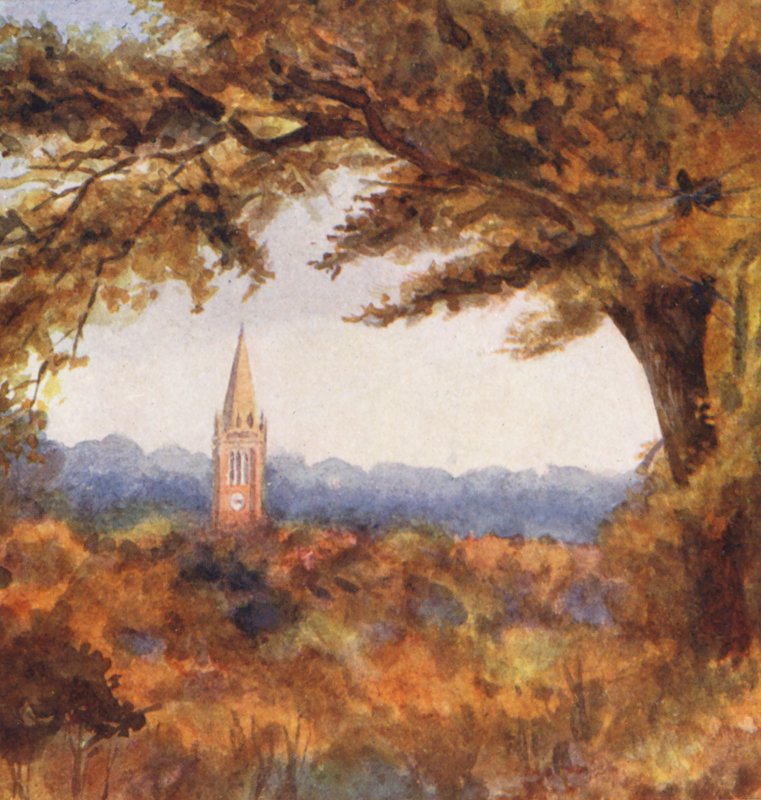 New Forest: Lyndhurst Church fra Cut Walk, november (farvelitografi) af Alice Julia Argles