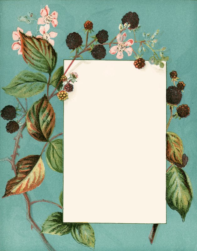 september af Alicia Amy Leith