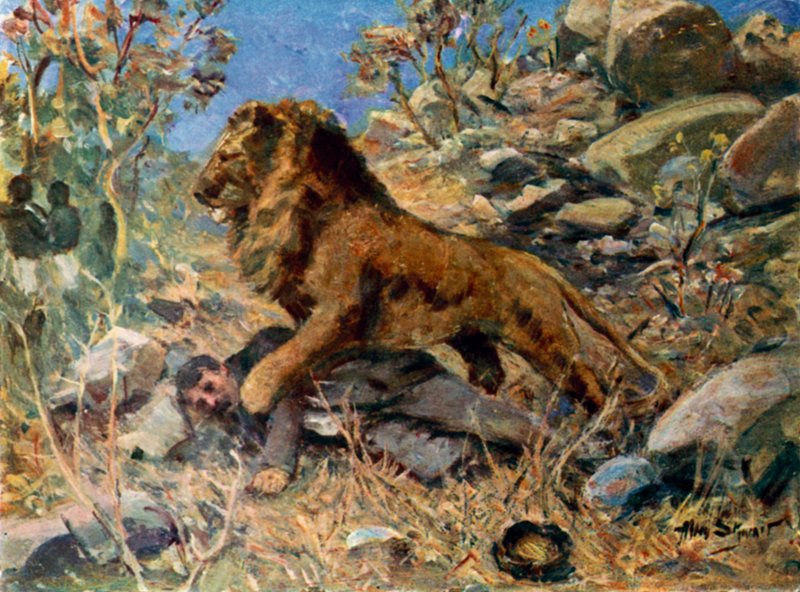 David Livingstone, Livingstone og løven (farve litho) af Allan (after) Stewart