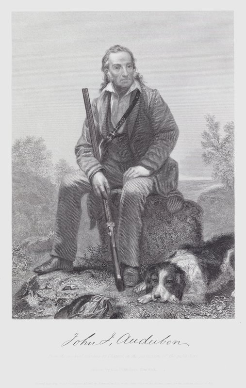 John James Audubon (gravering) af Alonzo (after) Chappel
