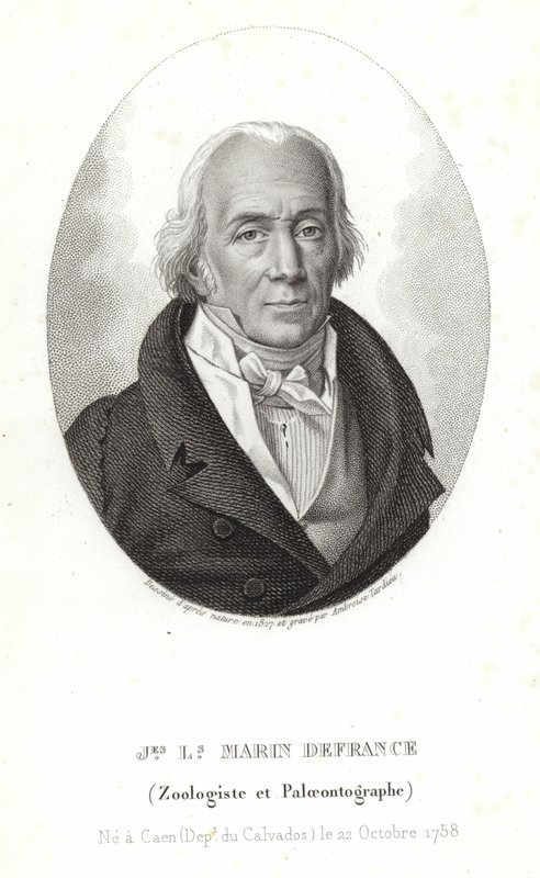 Jacques-Louis Marin fra Frankrig af Ambroise Tardieu