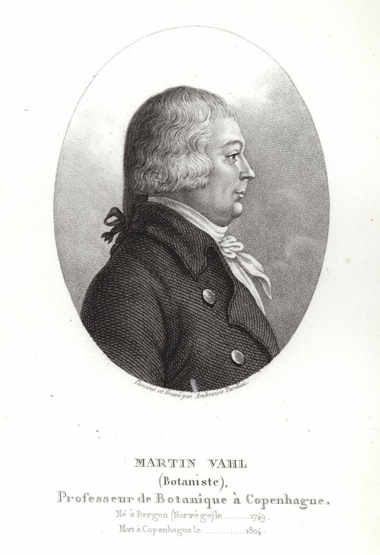 Martin Vahl af Ambroise Tardieu