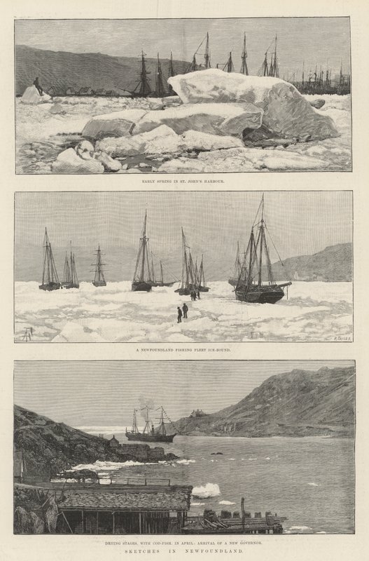Skitser i Newfoundland af Amedee Forestier