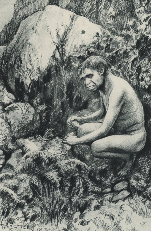 Den gamle lejer af det gamle plateau, måske ti tusinde århundreder siden af Amedee Forestier