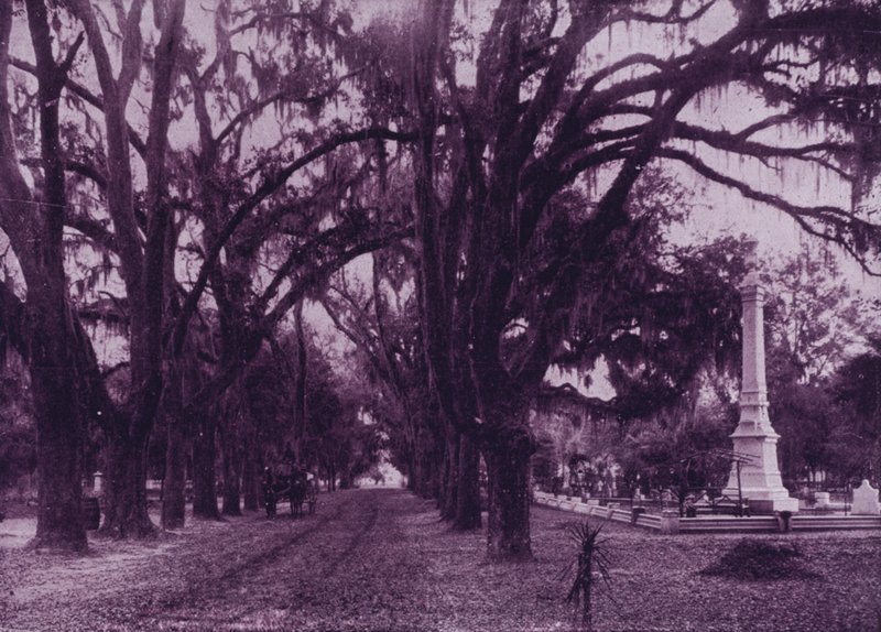 Bonaventure Cemetery, Savannah, Georgia (s/h-billede) af American Photographer (after)