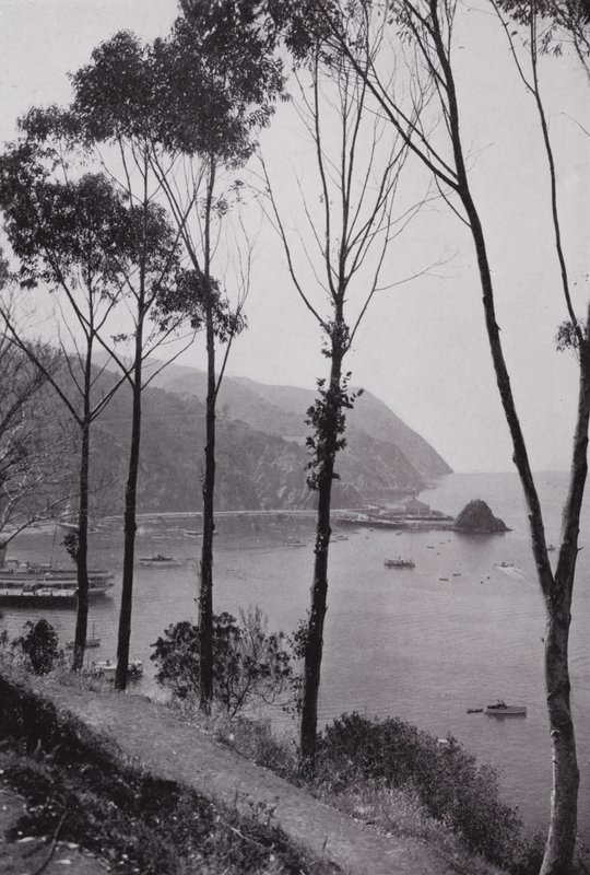 Californien: Avalon-bugten, Santa Catalina Island, et magisk legeland i Stillehavet 30 miles fra det sydlige Californiens fastland (s/h foto) af American Photographer (after)