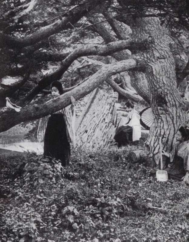 Japanske piger blandt de gamle fyrretræer ved siden af den gamle kejserlige voldgrav ved Tokio (s/h foto) af American Photographer (after)