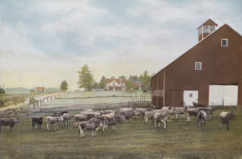 Oregon: Dairy Farm i Willamette Valley (foto) af American Photographer (after)