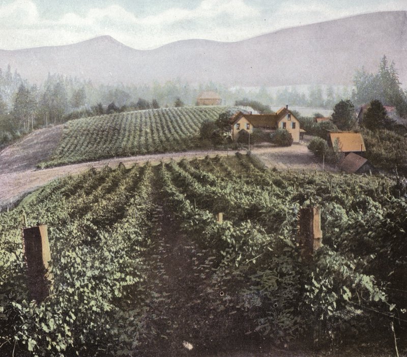 Oregon: Diversificeret landbrug i Willamette Valley (foto) af American Photographer (after)