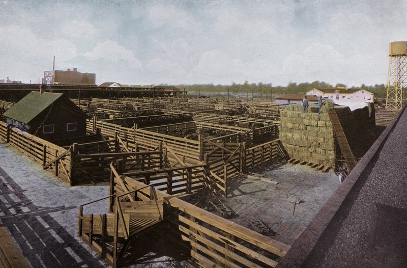 Oregon: Portland Union Stock Yards (foto) af American Photographer (after)