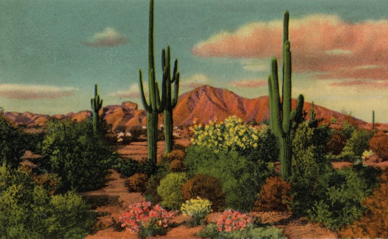 Phoenix, Arizona: Camelback Mountain and Desert (foto) af American Photographer (after)