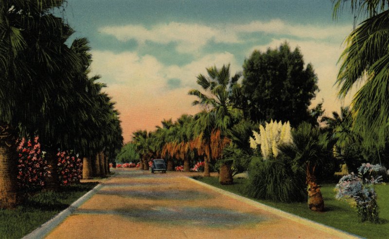 Phoenix, Arizona: Country Club Park (foto) af American Photographer (after)
