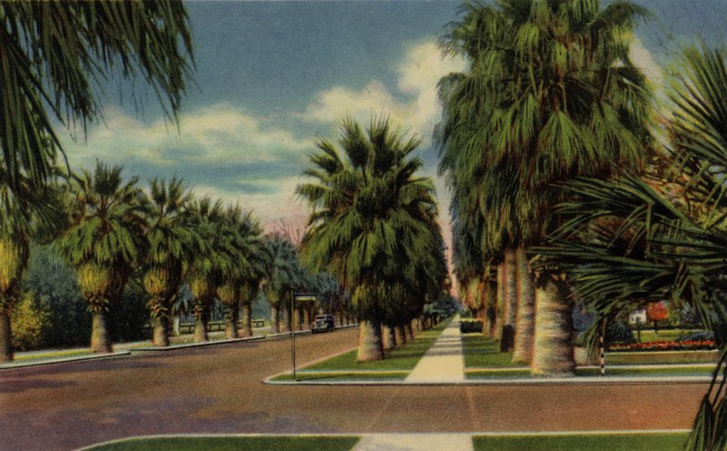 Phoenix, Arizona: North Central Avenue (foto) af American Photographer (after)