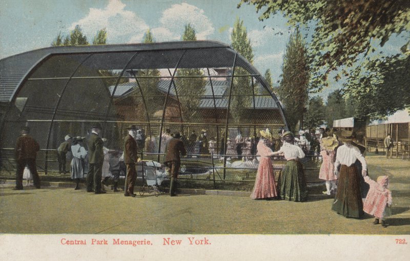 Central Park Menagerie, New York (foto) af American Photographer