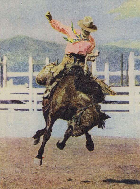 Cowboy breaking in a horsedani af American Photographer