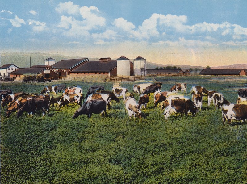 H R Timm Dairy, Dixon, Californien (farvefoto) af American Photographer