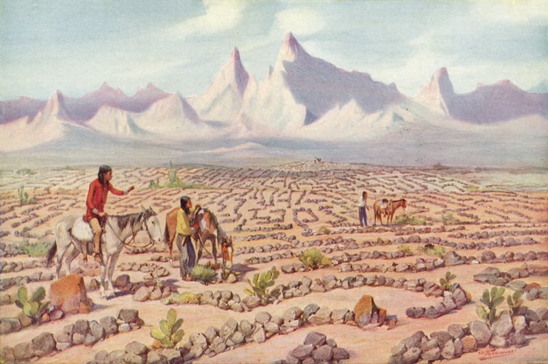 Mystic Maze of the Mojave Indians, nær Needles, Californien (farvet foto) af American Photographer